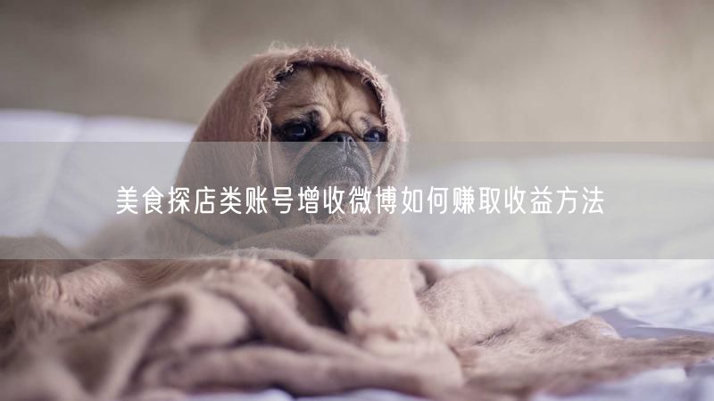 美食探店类账号增收微博如何赚取收益方法