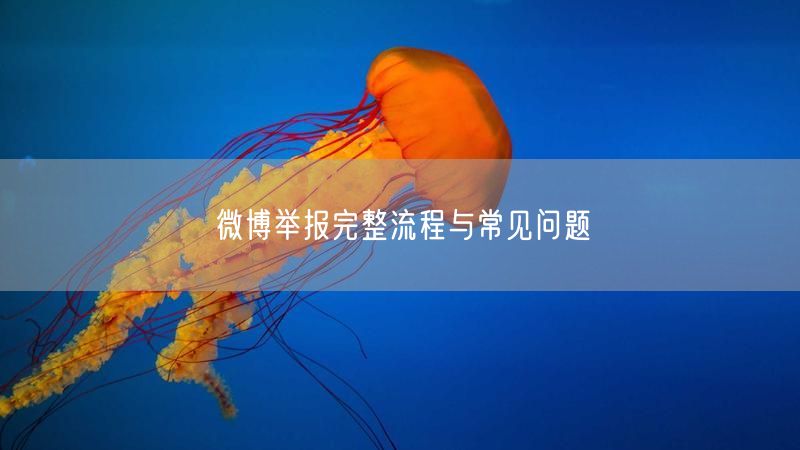 微博举报完整流程与常见问题