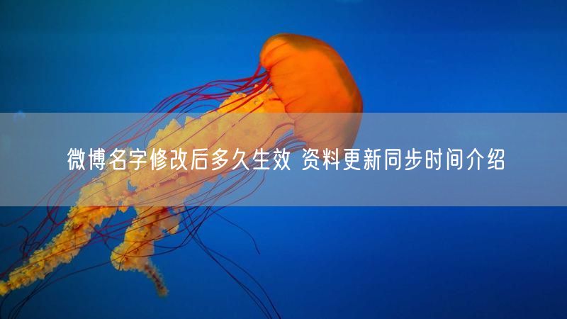 微博名字修改后多久生效 资料更新同步时间介绍