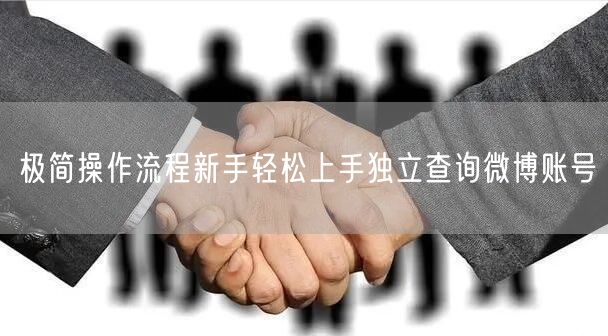 极简操作流程新手轻松上手独立查询微博账号