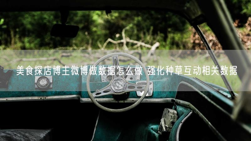 美食探店博主微博做数据怎么做 强化种草互动相关数据