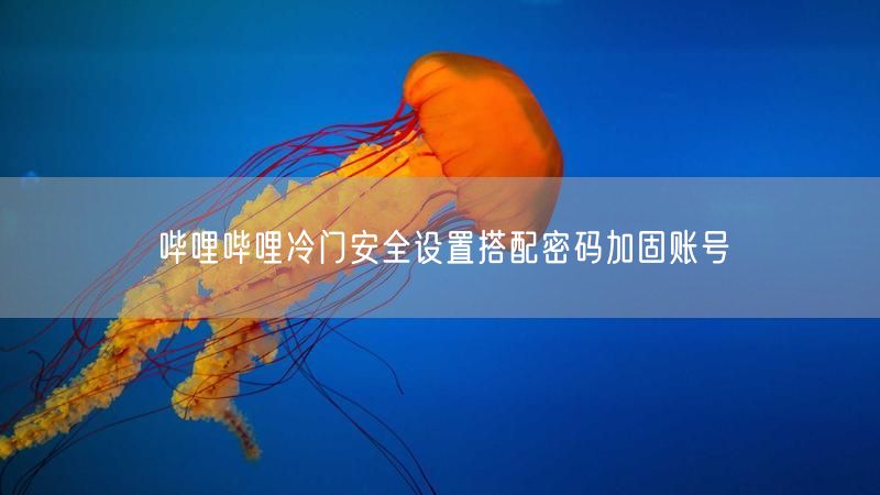 哔哩哔哩冷门安全设置搭配密码加固账号