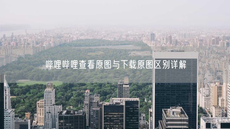 哔哩哔哩查看原图与下载原图区别详解