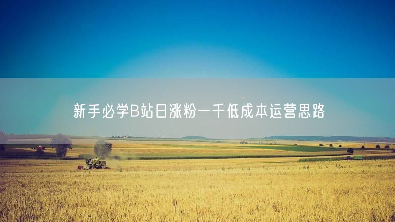 新手必学B站日涨粉一千低成本运营思路