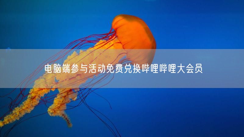 电脑端参与活动免费兑换哔哩哔哩大会员