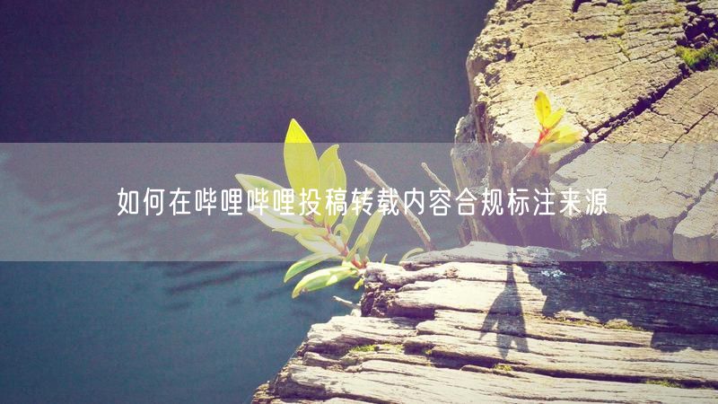如何在哔哩哔哩投稿转载内容合规标注来源