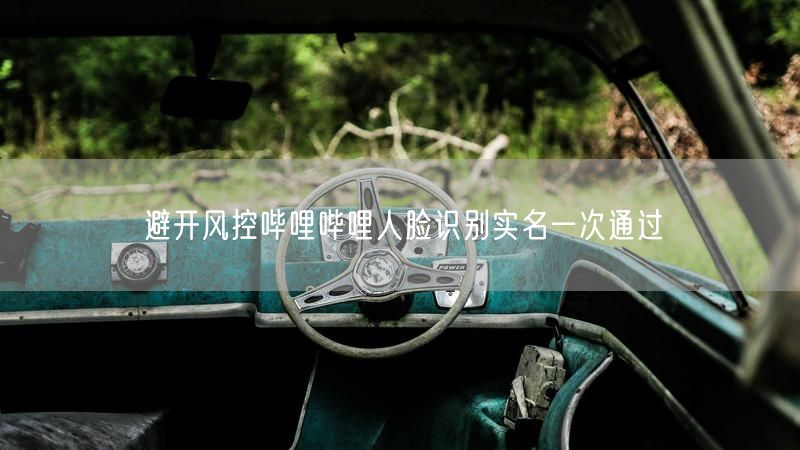 避开风控哔哩哔哩人脸识别实名一次通过
