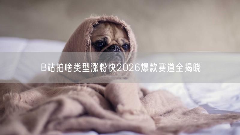 B站拍啥类型涨粉快2026爆款赛道全揭晓