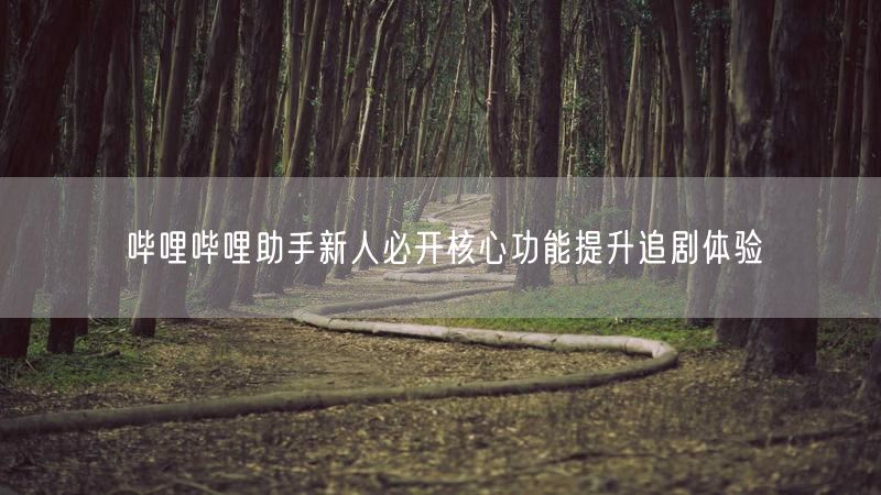 哔哩哔哩助手新人必开核心功能提升追剧体验