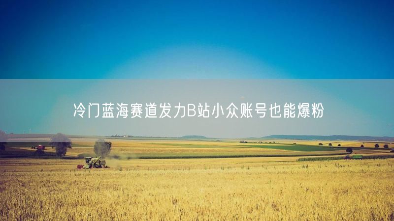 冷门蓝海赛道发力B站小众账号也能爆粉