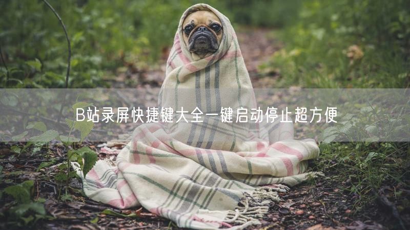 B站录屏快捷键大全一键启动停止超方便