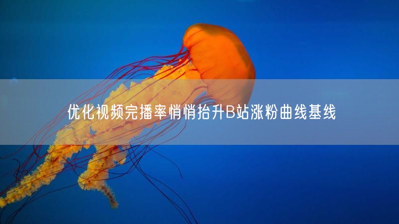 优化视频完播率悄悄抬升B站涨粉曲线基线