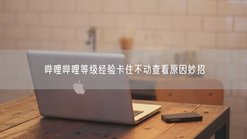 哔哩哔哩等级经验卡住不动查看原因妙招