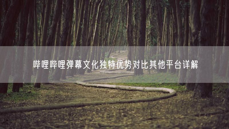 哔哩哔哩弹幕文化独特优势对比其他平台详解