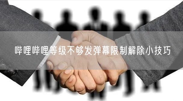 哔哩哔哩等级不够发弹幕限制解除小技巧
