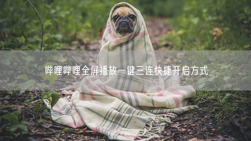 哔哩哔哩全屏播放一键三连快捷开启方式