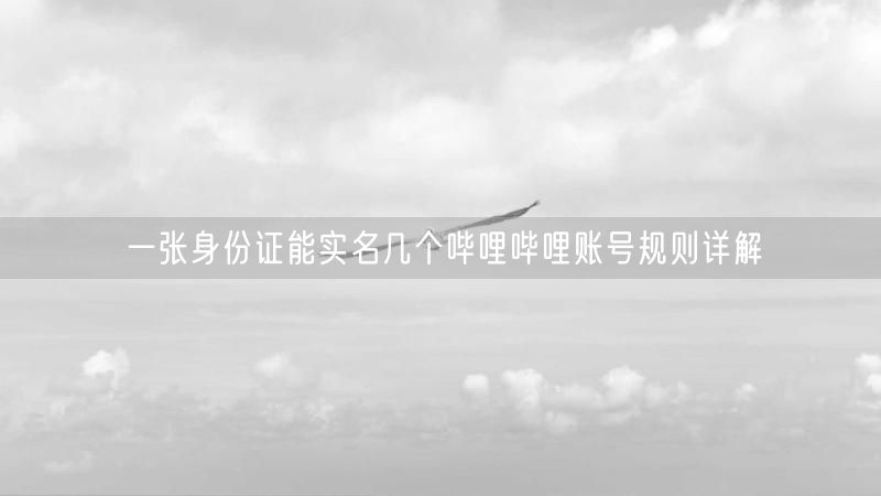一张身份证能实名几个哔哩哔哩账号规则详解