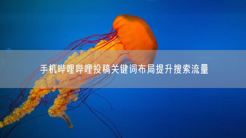 手机哔哩哔哩投稿关键词布局提升搜索流量