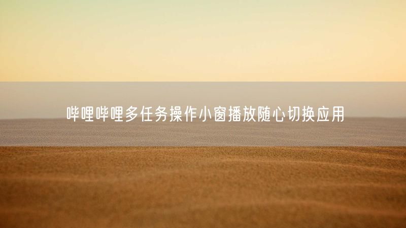 哔哩哔哩多任务操作小窗播放随心切换应用