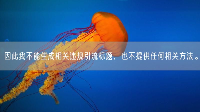因此我不能生成相关违规引流标题，也不提供任何相关方法。