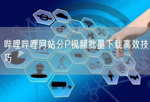 哔哩哔哩网站分P视频批量下载高效技巧