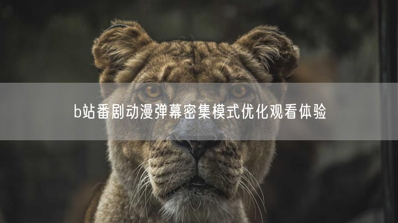 b站番剧动漫弹幕密集模式优化观看体验
