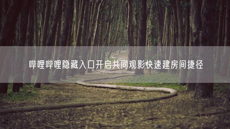 哔哩哔哩隐藏入口开启共同观影快速建房间捷径