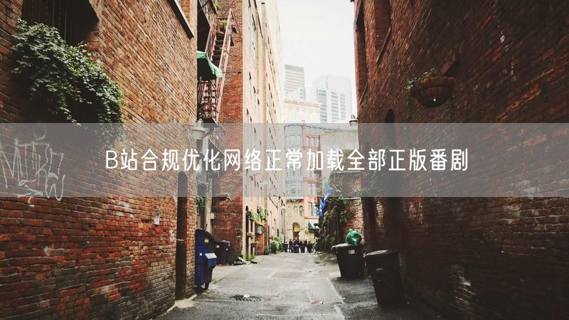 B站合规优化网络正常加载全部正版番剧