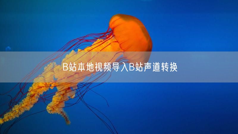 B站本地视频导入B站声道转换