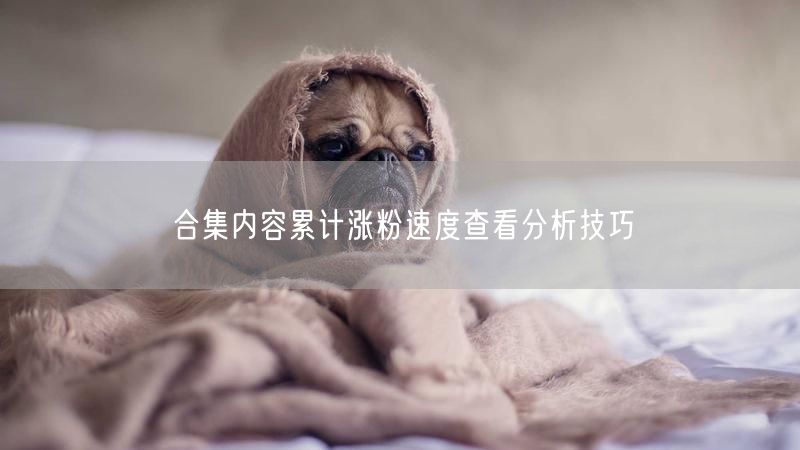 合集内容累计涨粉速度查看分析技巧