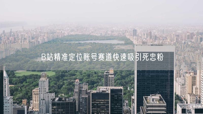 B站精准定位账号赛道快速吸引死忠粉
