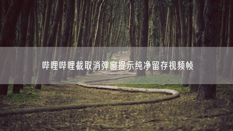 哔哩哔哩截取消弹窗提示纯净留存视频帧